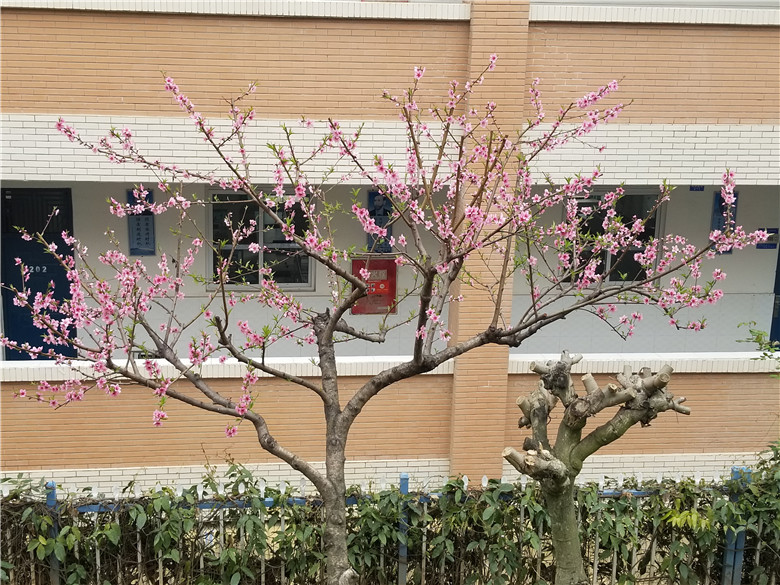 南實的四季