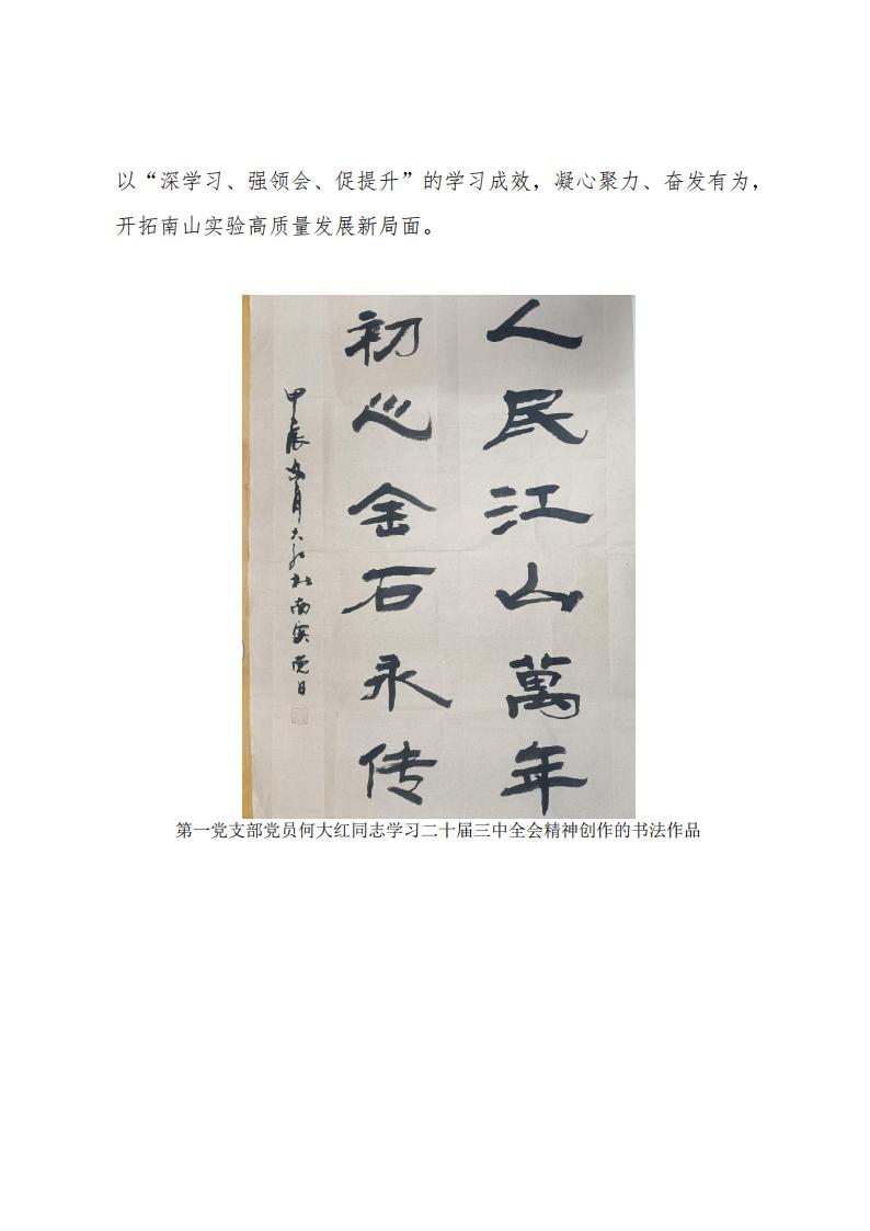 2024.11.29深學(xué)習(xí)、強領(lǐng)會、促提升南山實驗黨委組織開展黨員干部及全體黨員學(xué)習(xí)貫徹黨的二十屆三中全會精神專題培訓(xùn)_04.jpg